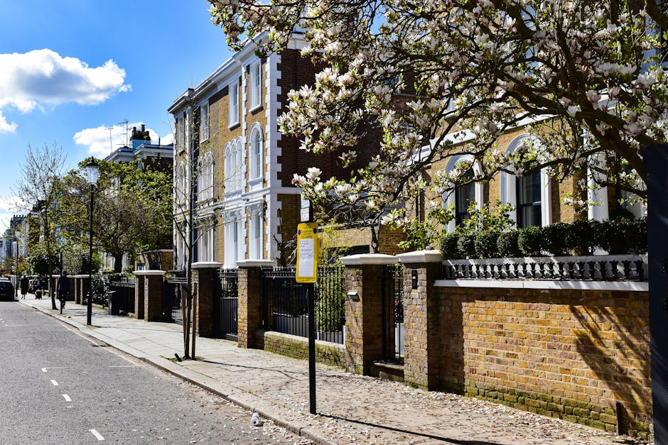 A wide view of a residential street in Parsons Green SW6 during daytime, featuring white Victorian-style houses with decorative cornices and balconies on either side. The street is lined with parked cars, including a black van, white van, and various smaller vehicles, positioned along the curb. Tall trees with green foliage dominate the scene, some extending over the street, and their branches partly obscure the multi-storey buildings. Several pedestrians are visible on the pavement, and traffic lights at the intersection display red signals. In the foreground, a man dressed in casual clothing appears to be waiting to cross near a hedge, while another person stands nearby. The overcast sky casts diffuse lighting across the scene. The image captures the typical urban environment where a professional removal company, such as Man and Van Parsons Green, might be involved in home relocation or furniture transport, emphasizing the importance of careful logistics during packing and loading processes.