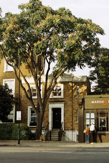 A two-storey brick building with white window frames and a black front door, situated on a street with a large leafy tree partially covering the facade. The tree has a thick trunk and expansive green foliage, casting shadows on the building. In front of the building, there is a black metal fence and a paved pavement where two individuals stand near a storefront named 'Marsh &' with a display window and posters. The scene depicts a typical residential and commercial street environment, relevant to house removals and moving services provided by Man and Van Parsons Green, with the image capturing the urban setting for home relocation or furniture transport processes.